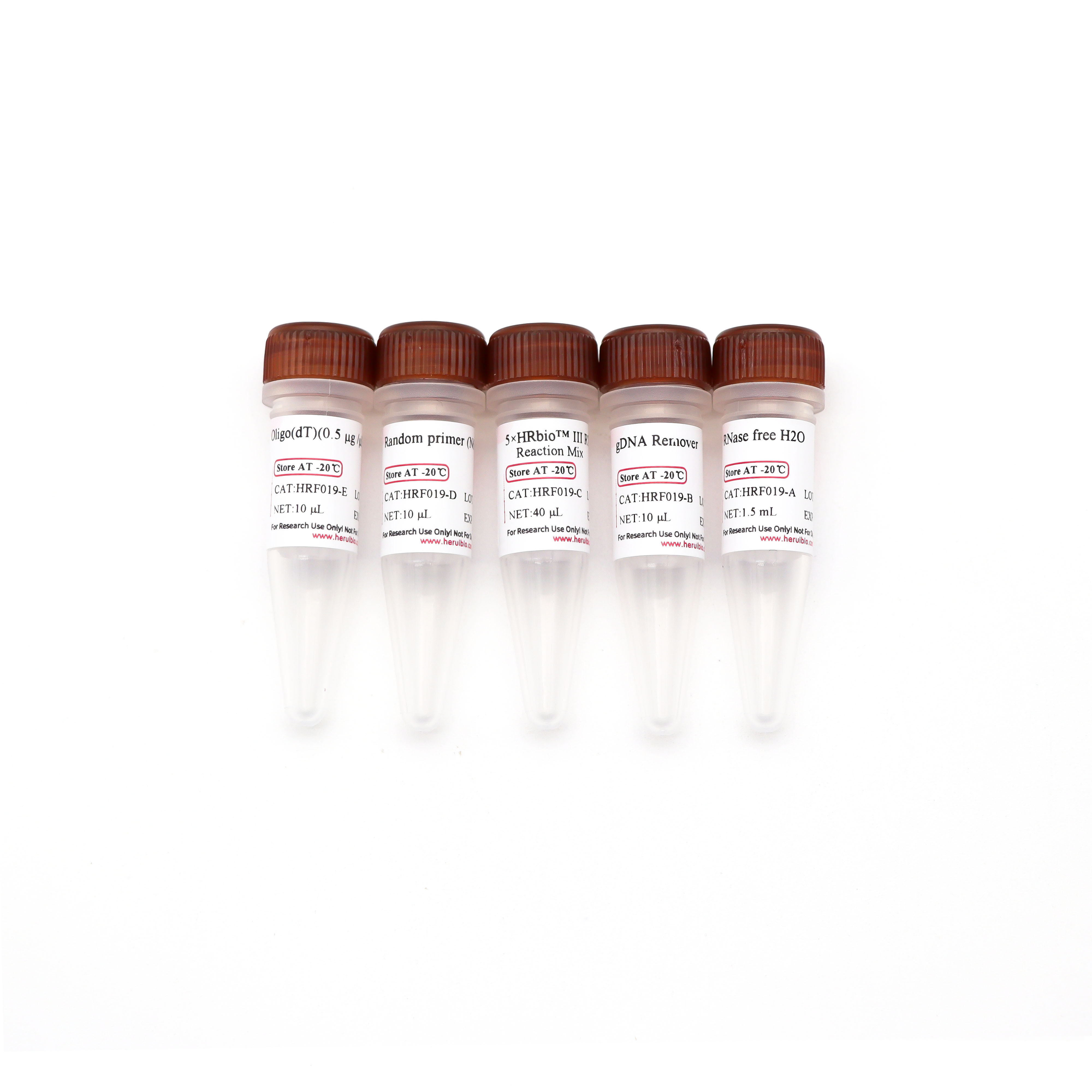 HRbio™ Ⅲ 1st Strand cDNA Synthesis Kit(OneStep gDNA Removal)