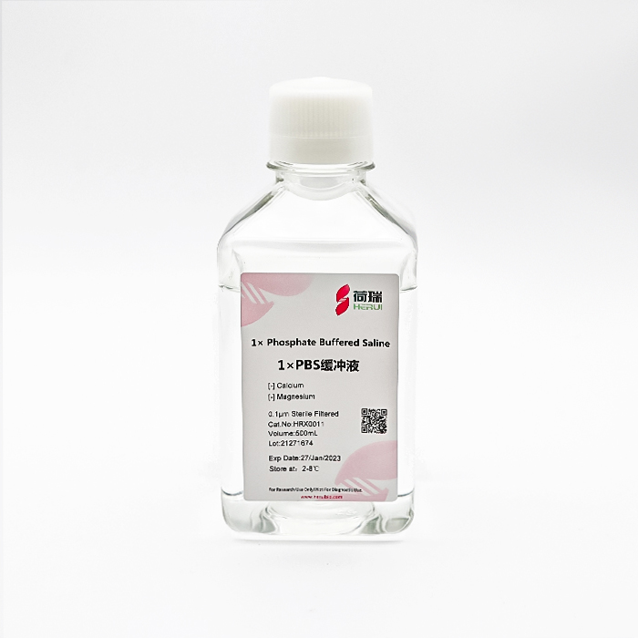 1×PBS buffer (cell culture grade) 1× Phosphate Buffered Solution