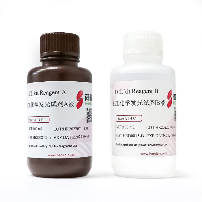 Super ECL Detection Kit Super ECL chemiluminescence Detection kit